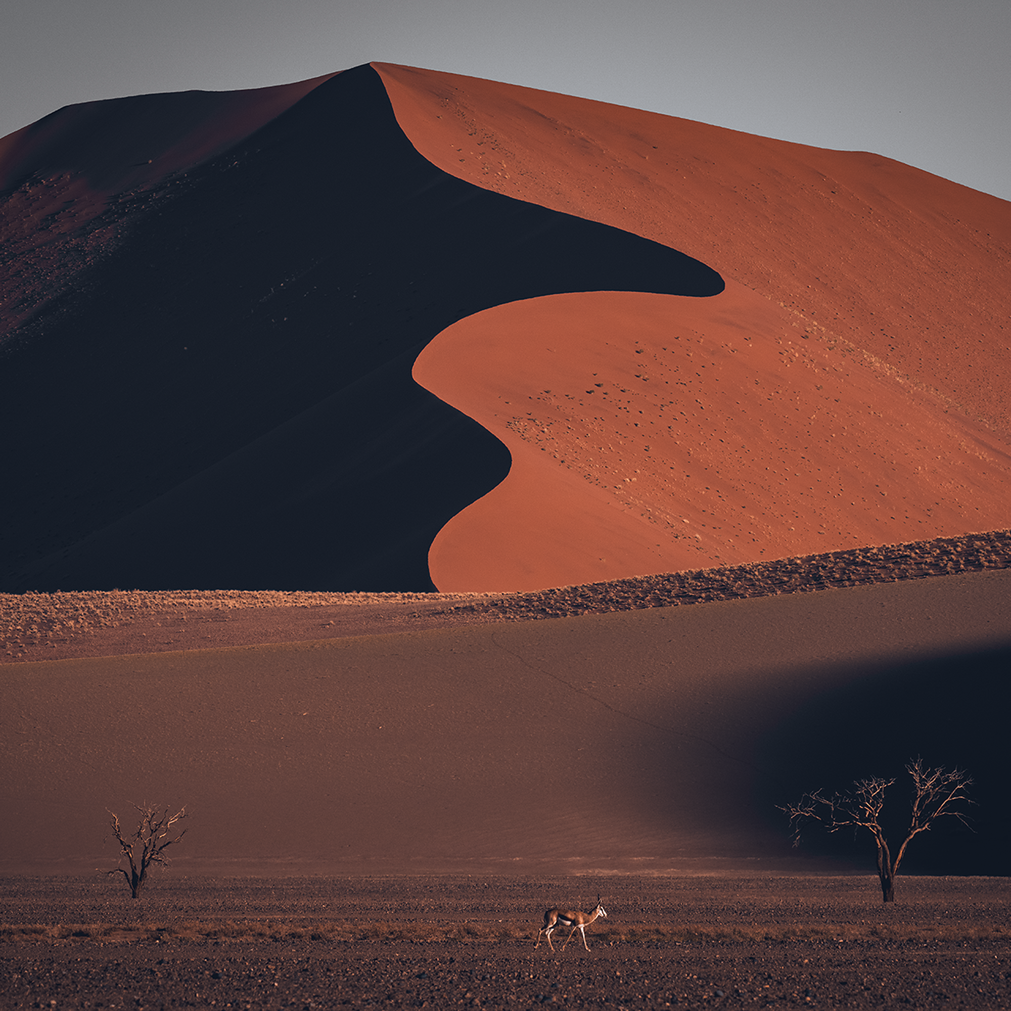 Faszination Namibia mit Michael Leidel